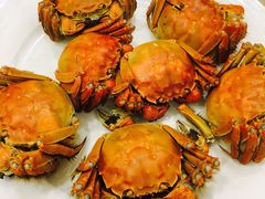 -王宝和酒家(黄浦店)