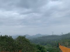 -深圳仙湖植物园