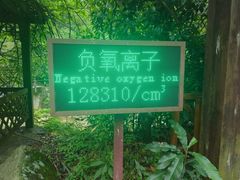 -姑婆山旅游区
