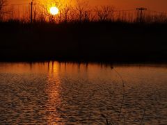 -天津东丽湖风景区