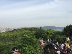 -灵岩山风景区