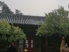 -宫事颐庭·老佛爷贵寿下午茶(颐和园店)