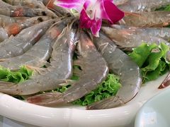 -德龙火锅(松源街直营店)