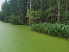 -渌洋湖湿地公园