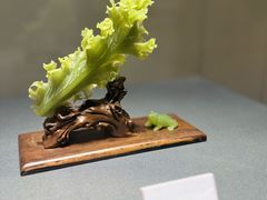 -大连自然博物馆
