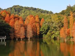 -广州市白云山风景名胜区