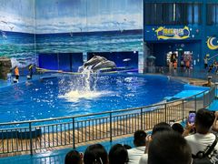 -多彩贵州城极地海洋世界