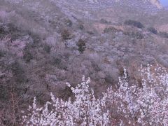 -龙泉峪长城