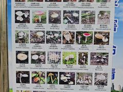 -丰台科技园生态主题公园