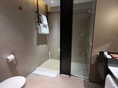 -新加坡瑞士史丹福酒店