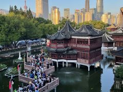 -绿波廊七号(豫园新路店)