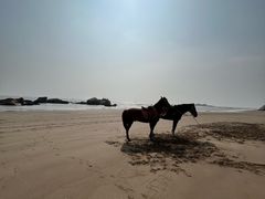 -南澳海滩
