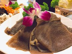脆毛肚-草原塞蛮羊火锅城(港湾店)