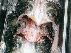 -畲乡一品鱼府土菜馆