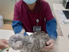 -宠颐生中康贝怡动物医院