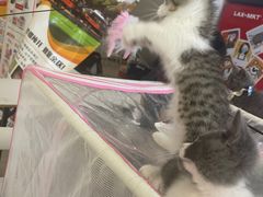 -金茂览秀城