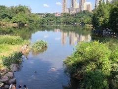 -重庆彩云湖湿地公园