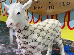 -艺仓美术馆