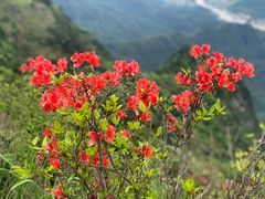 -萍乡武功山风景名胜区