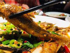 -曾牛土菜(捷瑞达店)