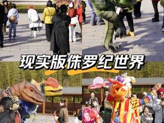 -中国西峡恐龙遗迹园