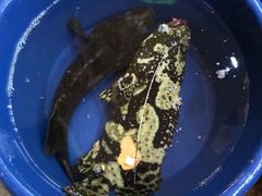 -班赞海鲜市场