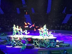 -珠海横琴长隆《卡卡虎奇遇记》