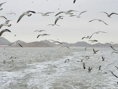 -海驴岛(荣成市)
