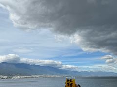 -野菌皇海景野生菌火锅(滨海大道店)