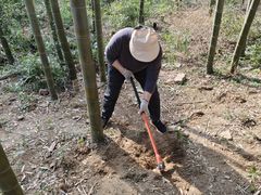 -宝岩生态观光园