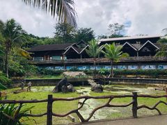 -海南槟榔谷黎苗文化旅游区