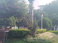 -七宝老街-闵行市民文化广场