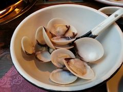 白贝-渔米粥(罗湖店)
