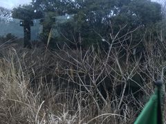 -济州森林小火车生态公园