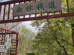 -呀诺达热带雨林