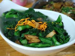 -石岐乳鸽村(桥观坊南四巷店)