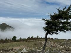 -灵山