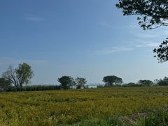 -七的湖·晚芳亭·阳澄湖农家菜·大闸蟹(莲花岛店)