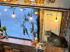 -豆逗聊愈猫阁Easy Life