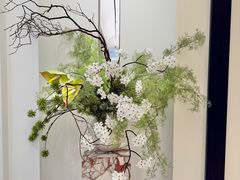 -红星美凯龙(东北全球家居1号店)