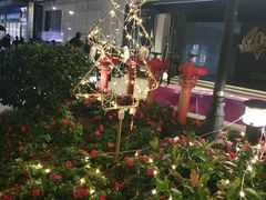 -大洋晶典(东街店)