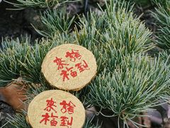 -龙华寺