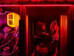 -Mr.Fox狐狸先生超级密室(南山店)