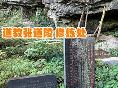 -天目山大树王景区