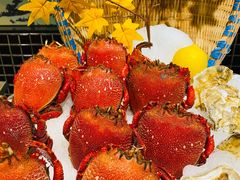 -盛宴自助餐厅(运达喜来登店)