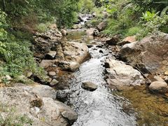 -广州市石门国家森林公园