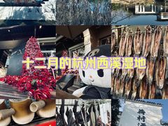 -西溪国家湿地公园