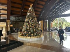 -三亚湾海居雅高铂尔曼度假酒店