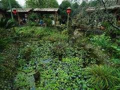 -青城甲(青城山店)