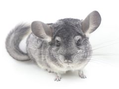 -龙猫仔乐园(惠福东路店)